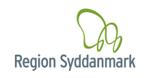 Region of Southern Denmark Logo